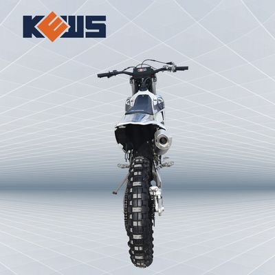 Powerful 250cc 4 Stroke Enduro Motocycle with OEM 4 Valve Water Cooled EFI and EXCEL RIM